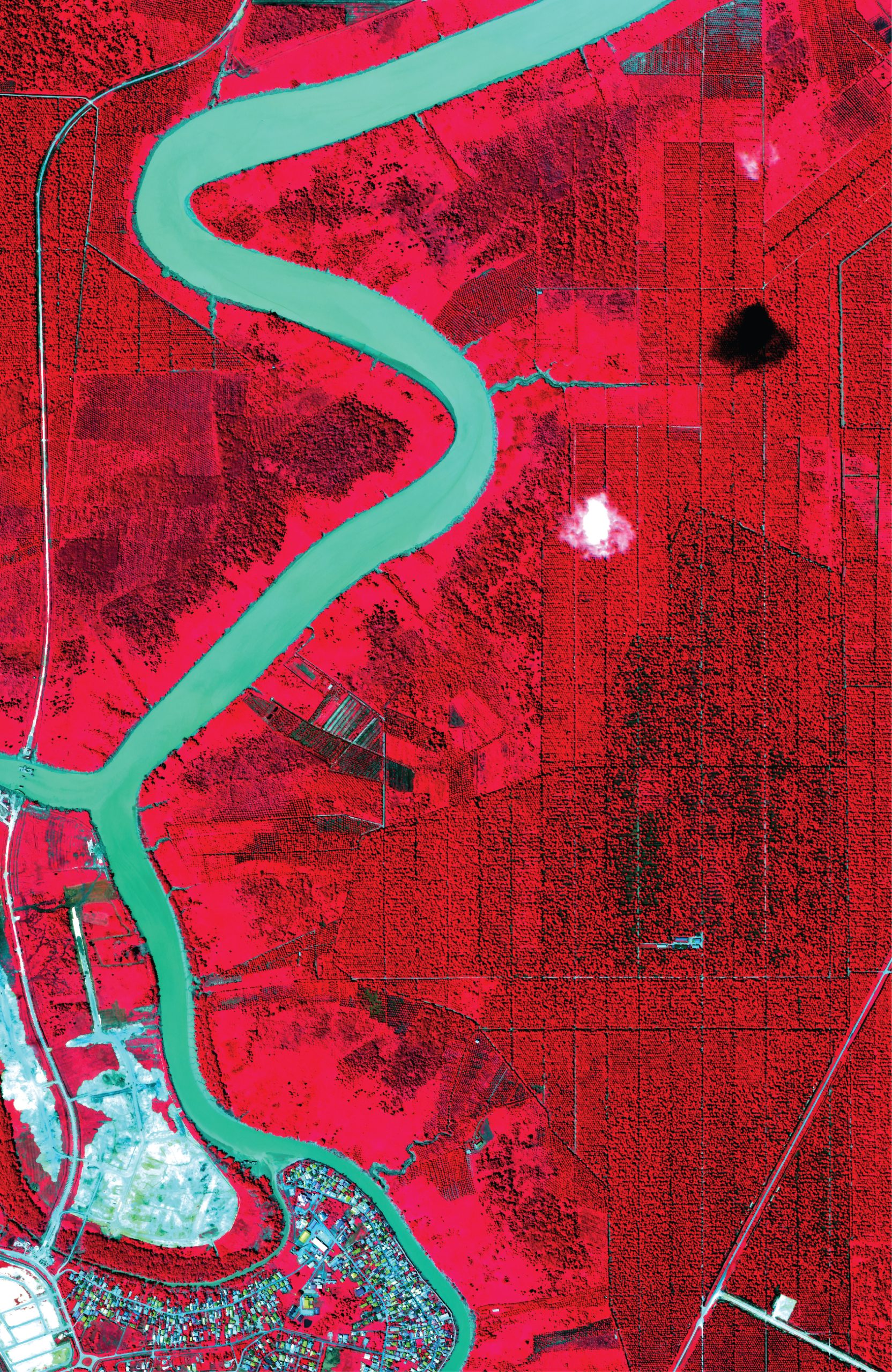 Untitled-fgbnfgrn-04