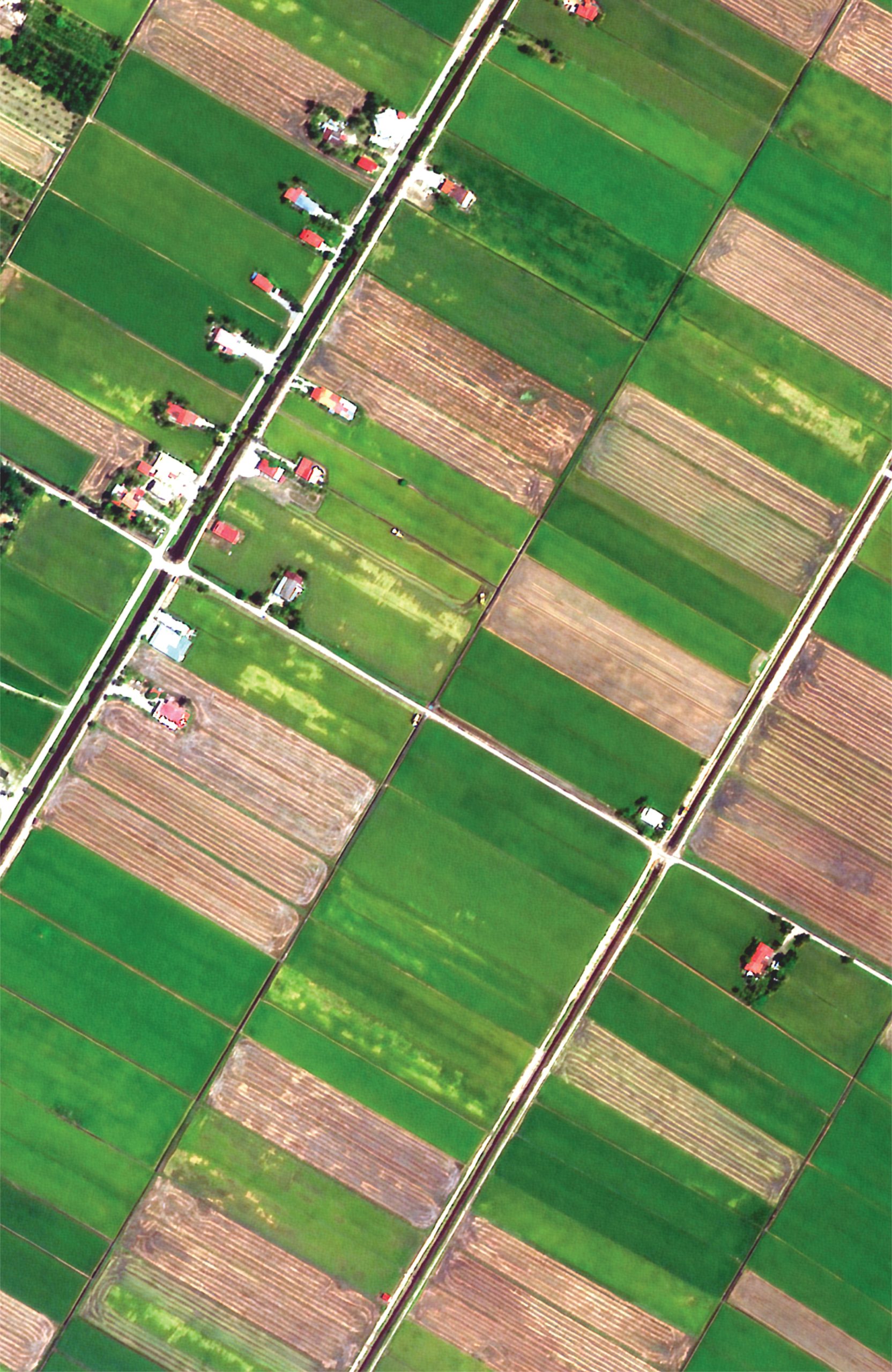 Untitled-fgbnfgrn-06